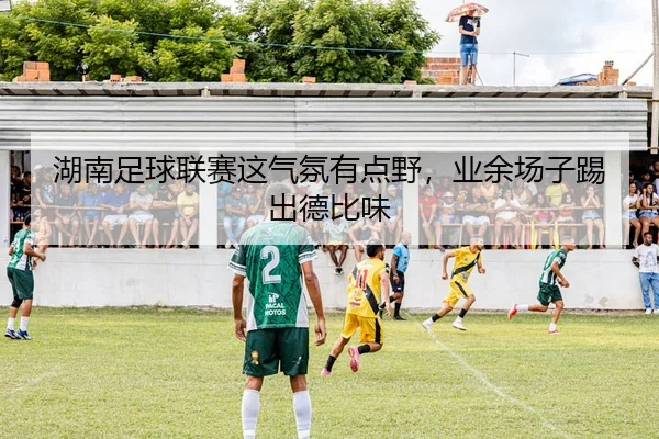 湖南足球联赛这气氛有点野，业余场子踢出德比味