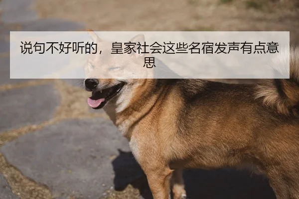 shuo-ju-bu-hao-ting-de-huang-jia-she-hui-zhe-xie-ming-su-fa-sheng-you-dian-yi-si-2-631.jpg