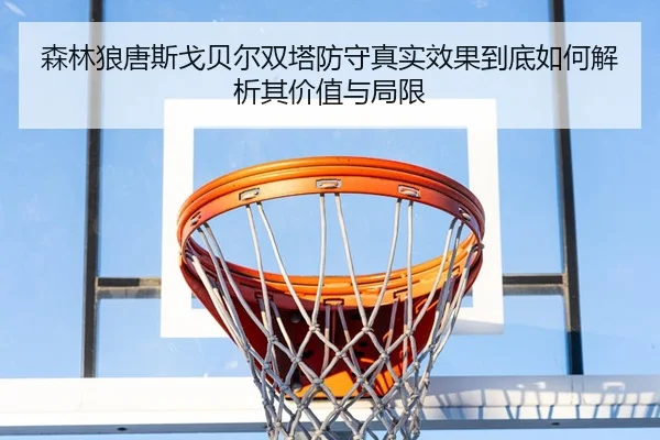 森林狼唐斯戈贝尔双塔防守真实效果到底如何解析其价值与局限