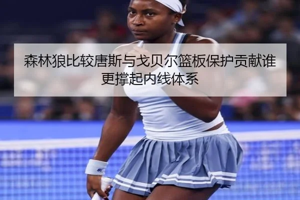 森林狼比较唐斯与戈贝尔篮板保护贡献谁更撑起内线体系